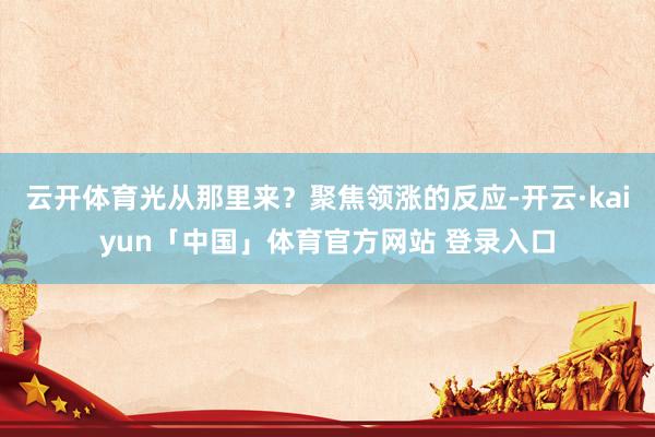 云开体育光从那里来？聚焦领涨的反应-开云·kaiyun「中国」体育官方网站 登录入口