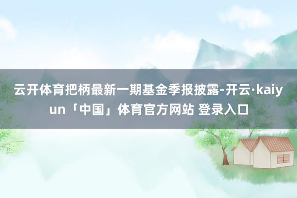 云开体育把柄最新一期基金季报披露-开云·kaiyun「中国」体育官方网站 登录入口