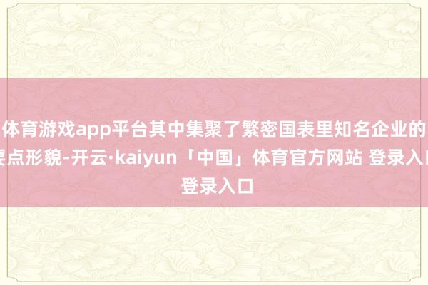 体育游戏app平台其中集聚了繁密国表里知名企业的要点形貌-开云·kaiyun「中国」体育官方网站 登录入口